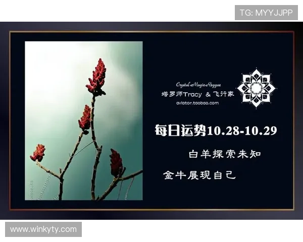 开运登录：探索不同文化中开运登录的独特方式